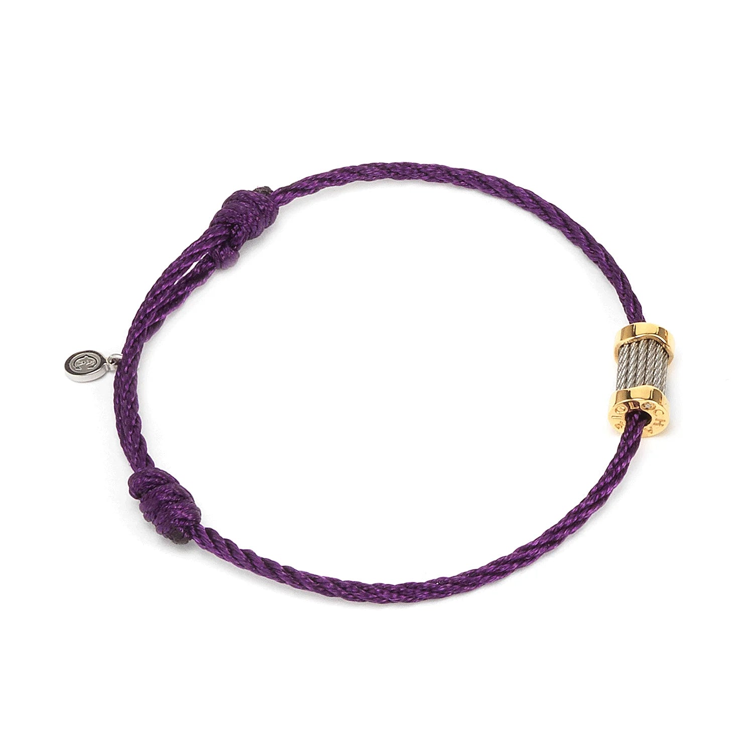 パープル_スチール