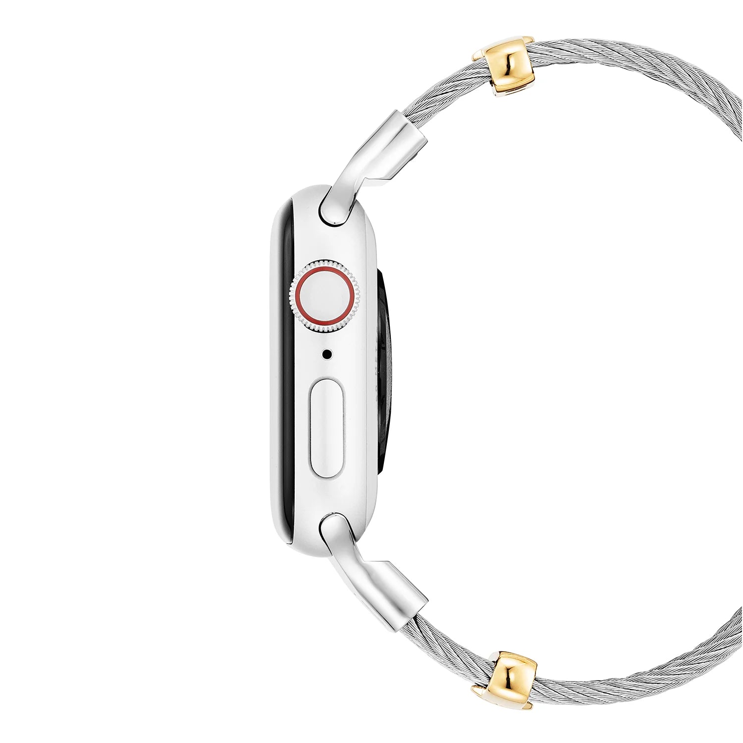 イエローゴールドの装飾が施されたスチール_手首16cm