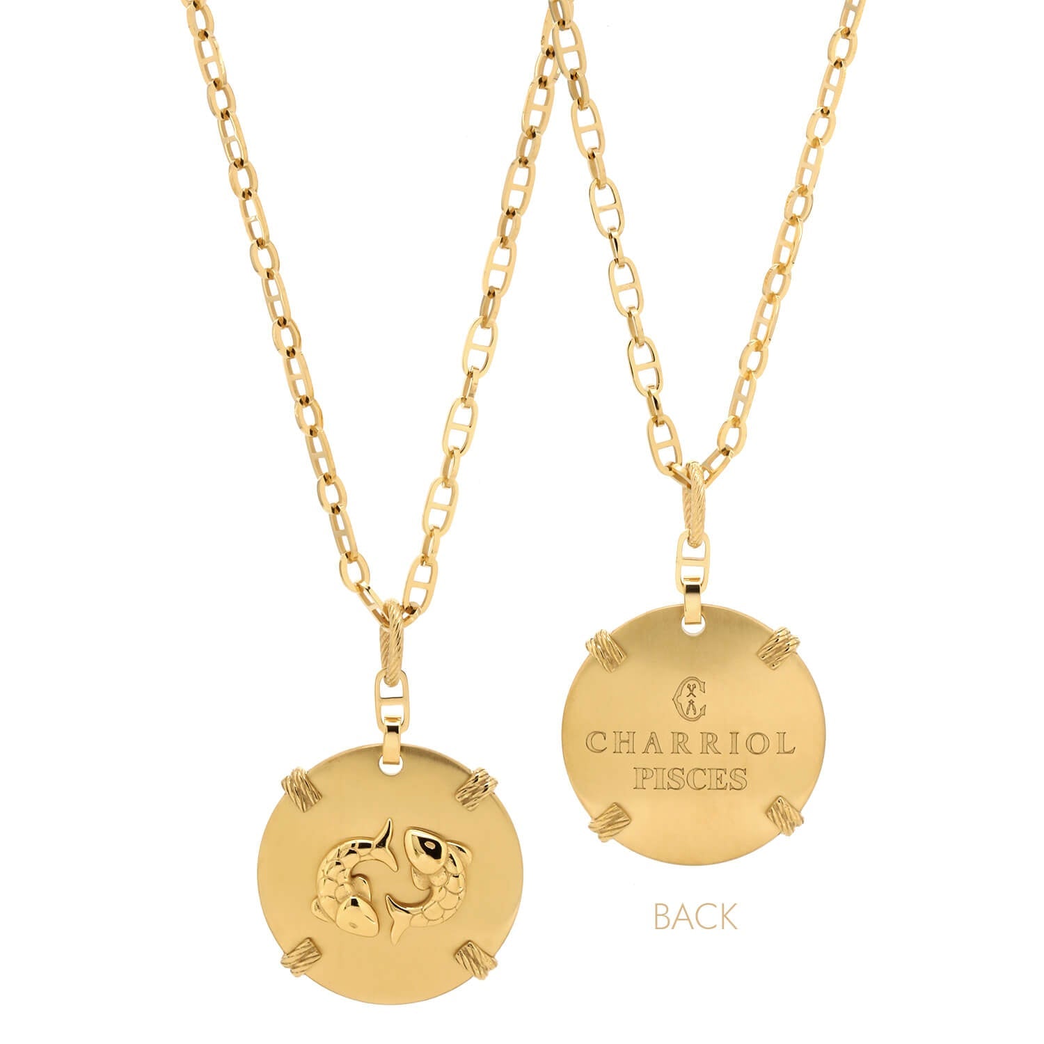 イエローゴールド_金魚座_60cm~70cm