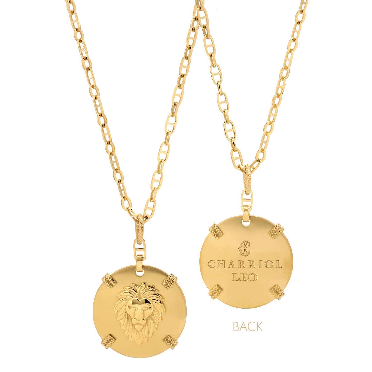 イエローゴールド_ゴールド・レオ_60cm~70cm