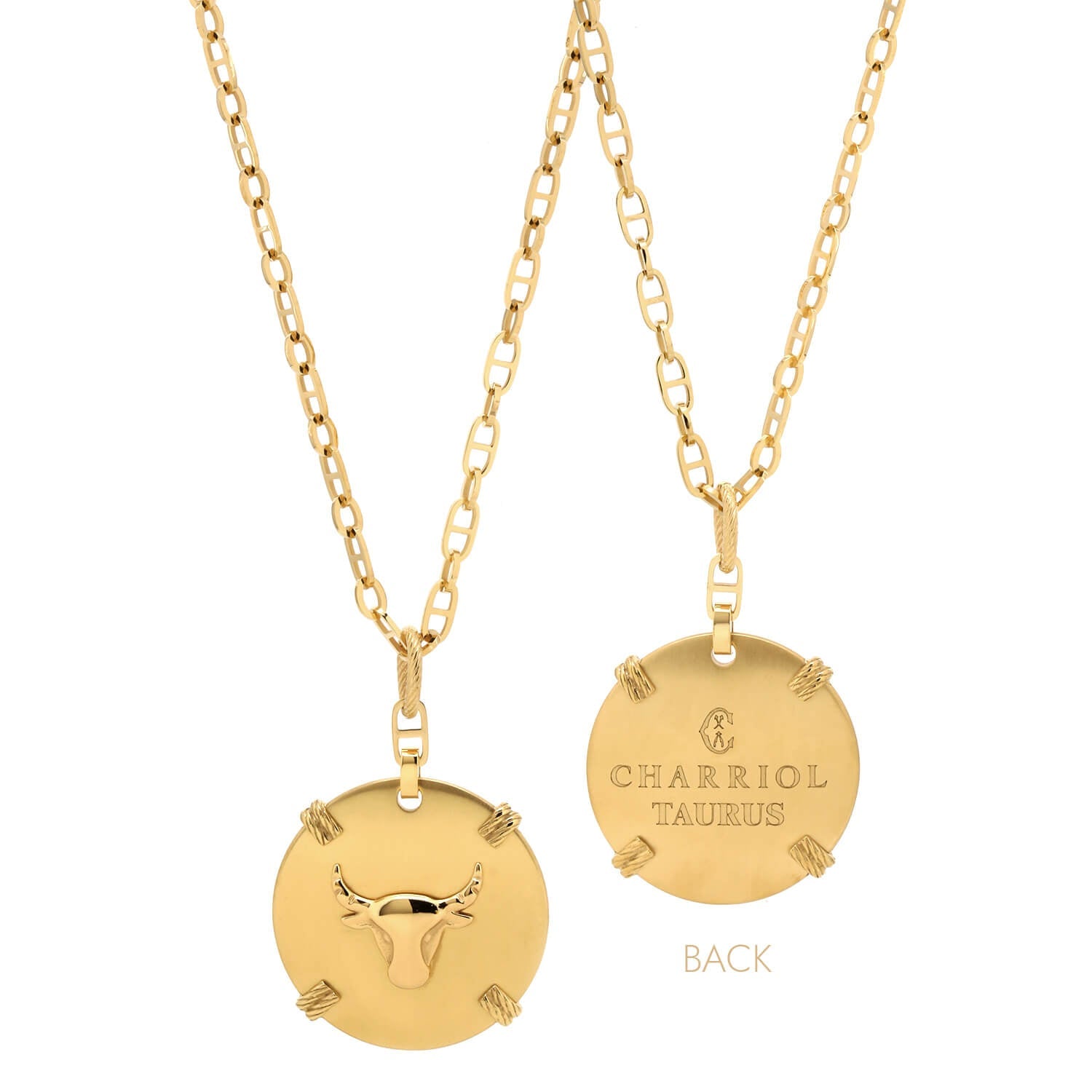 イエローゴールド_金牡牛座_60cm～70cm